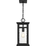 Moira Hanging Light