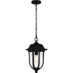 Mulberry Hanging Light