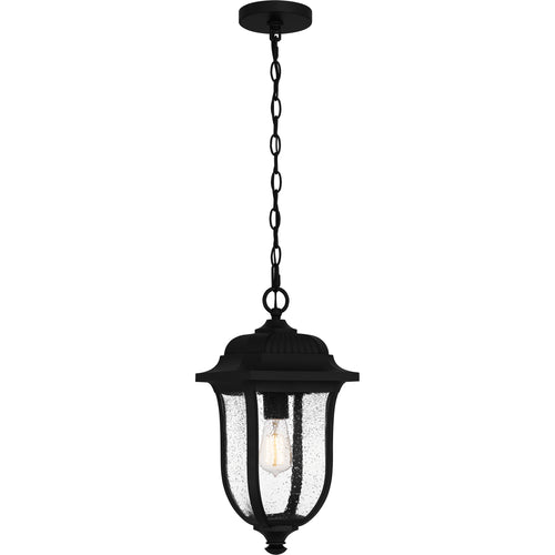 Mulberry Hanging Light