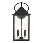 Damian Wall Light
