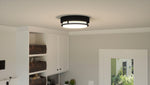 Hale Flush Mount