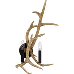 Journey Wall Sconce