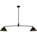 Alscott 2-Light Matte Black Linear Chandelier