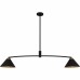 Alscott 2-Light Matte Black Linear Chandelier