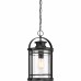 Booker Outdoor Lantern