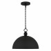 Braylon 4-Light Matte Black Pendant Light