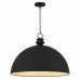 Braylon 1-Light Matte Black Pendant Light