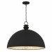 Braylon 1-Light Matte Black Pendant Light