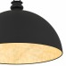 Braylon 1-Light Matte Black Pendant Light