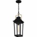 Buckley Outdoor Lantern