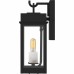 Carmen 1-Light Matte Black Outdoor Wall Lantern