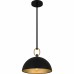 Cleo 1-Light Matte Black Pendant