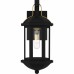 Crestfield 1-Light Matte Black Outdoor Wall Lantern