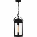 Clifton Mini Pendant