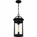 Clifton Mini Pendant
