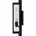 Dale 1-Light Matte Black Outdoor Wall Lantern