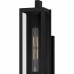 Dale 1-Light Matte Black Outdoor Wall Lantern