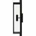 Dale 2-Light Matte Black Outdoor Wall Lantern