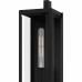 Dale 2-Light Matte Black Outdoor Wall Lantern
