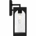 Dallington 1-Light Matte Black Outdoor Wall Lantern