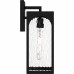 Dallington 1-Light Matte Black Outdoor Wall Lantern