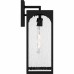 Dallington 1-Light Matte Black Outdoor Wall Lantern