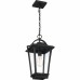 Darius Outdoor Lantern