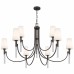 Eloura 9-Light Iron Gate Chandelier