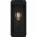 Eastover 1-Light Earth Black Outdoor Wall Lantern