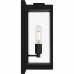 Eastover 1-Light Earth Black Outdoor Wall Lantern