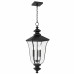 Farley 3-Light Matte Black Outdoor Hanging Lantern