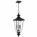 Farley 3-Light Matte Black Outdoor Hanging Lantern