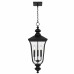 Farley 3-Light Matte Black Outdoor Hanging Lantern