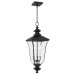 Farley 3-Light Matte Black Outdoor Hanging Lantern