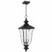Farley 3-Light Matte Black Outdoor Hanging Lantern
