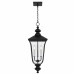 Farley 3-Light Matte Black Outdoor Hanging Lantern