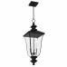 Farley 3-Light Matte Black Outdoor Hanging Lantern