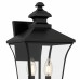 Farley 2-Light Matte Black Outdoor Wall Lantern