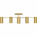 Foreland 6-Light Brushed Gold Semi-Flush Mount