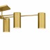 Foreland 6-Light Brushed Gold Semi-Flush Mount