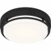 Hale Flush Mount