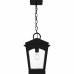 Huck 1-Light Earth Black Outdoor Hanging Lantern