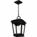Huck 1-Light Earth Black Outdoor Hanging Lantern