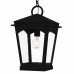 Huck 1-Light Earth Black Outdoor Hanging Lantern