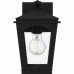 Huck 1-Light Earth Black Outdoor Wall Lantern