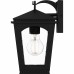Huck 1-Light Earth Black Outdoor Wall Lantern