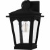 Huck 1-Light Earth Black Outdoor Wall Lantern