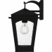 Huck 1-Light Earth Black Outdoor Wall Lantern