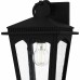 Huck 1-Light Earth Black Outdoor Wall Lantern