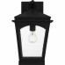 Huck 1-Light Earth Black Outdoor Wall Lantern